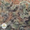 FRUITY-PEBBLES-cheap-weed-2