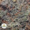 GRANDDADDY-WHITE-cheap-weed-2