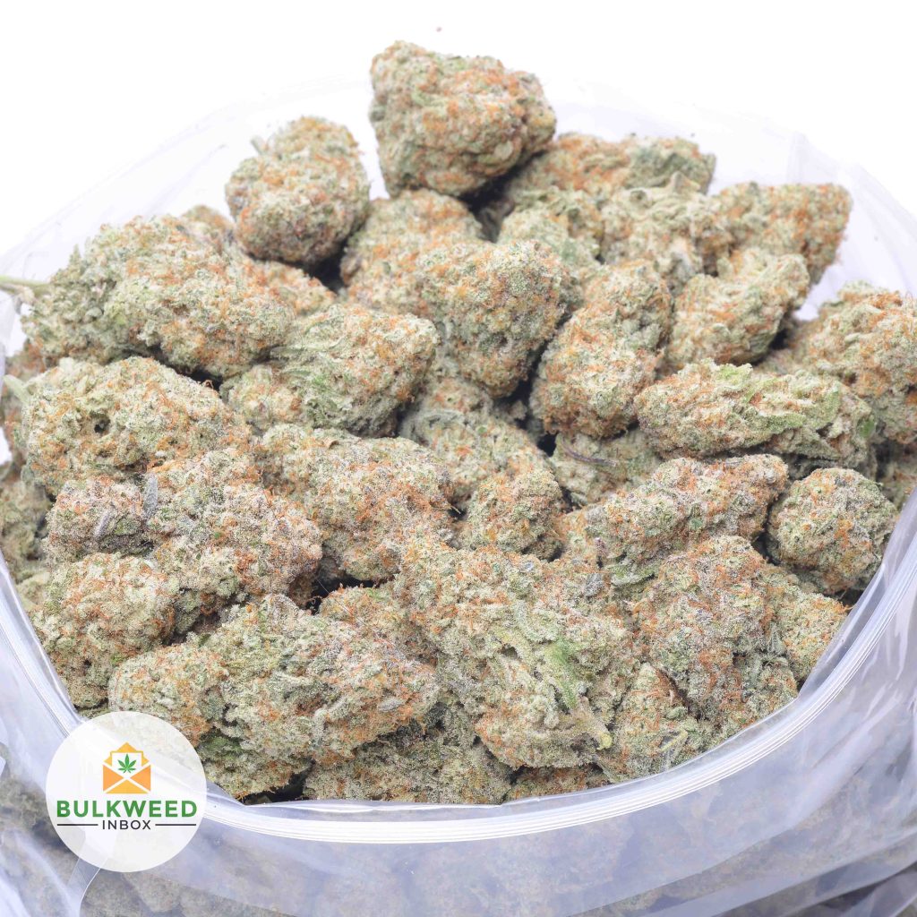 POWDER-DONUTS-NELSON-CRAFT-GROWERS-online-dispensary-canada