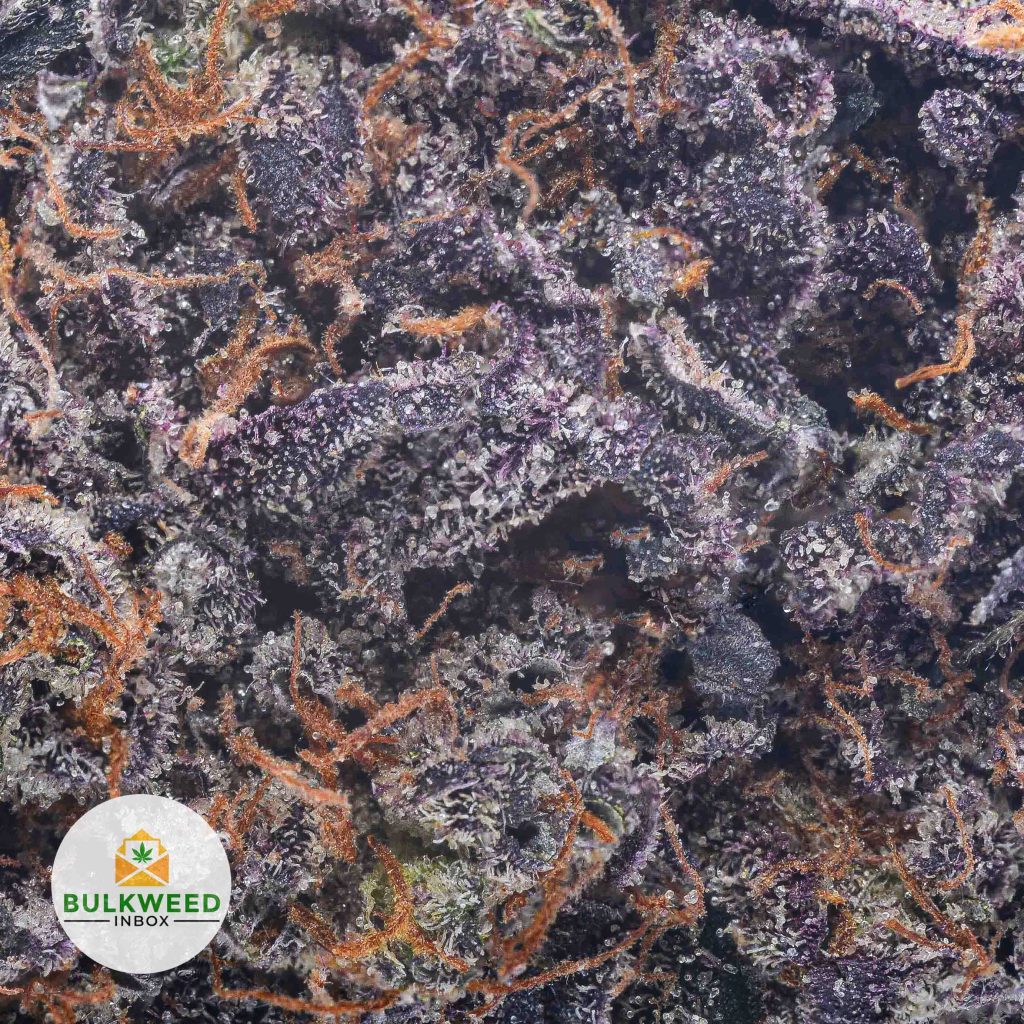 PURPLE-SPACE-COOKIES-NELSON-CRAFT-GROWERS-cheap-weed-2-1