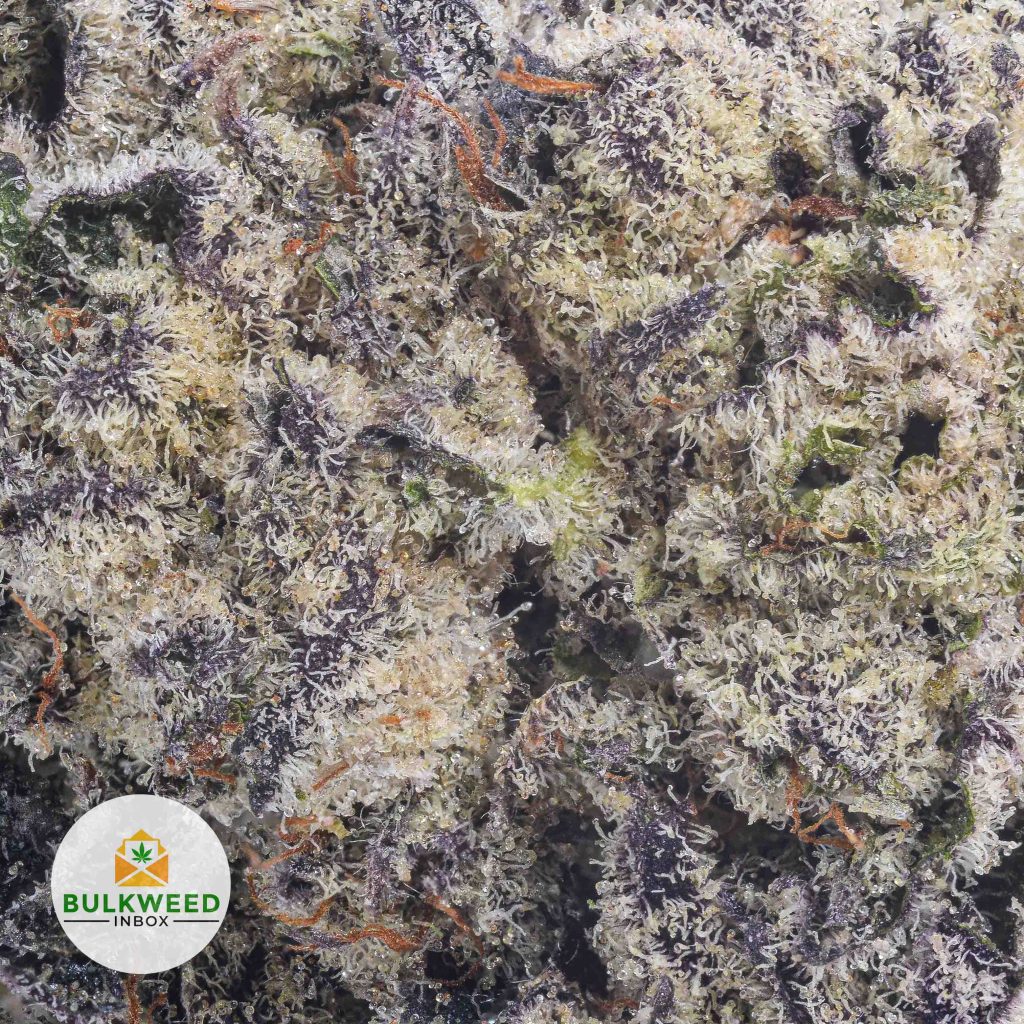 PURPLE-URKLE-SPACE-CRAFT-cheap-weed-2