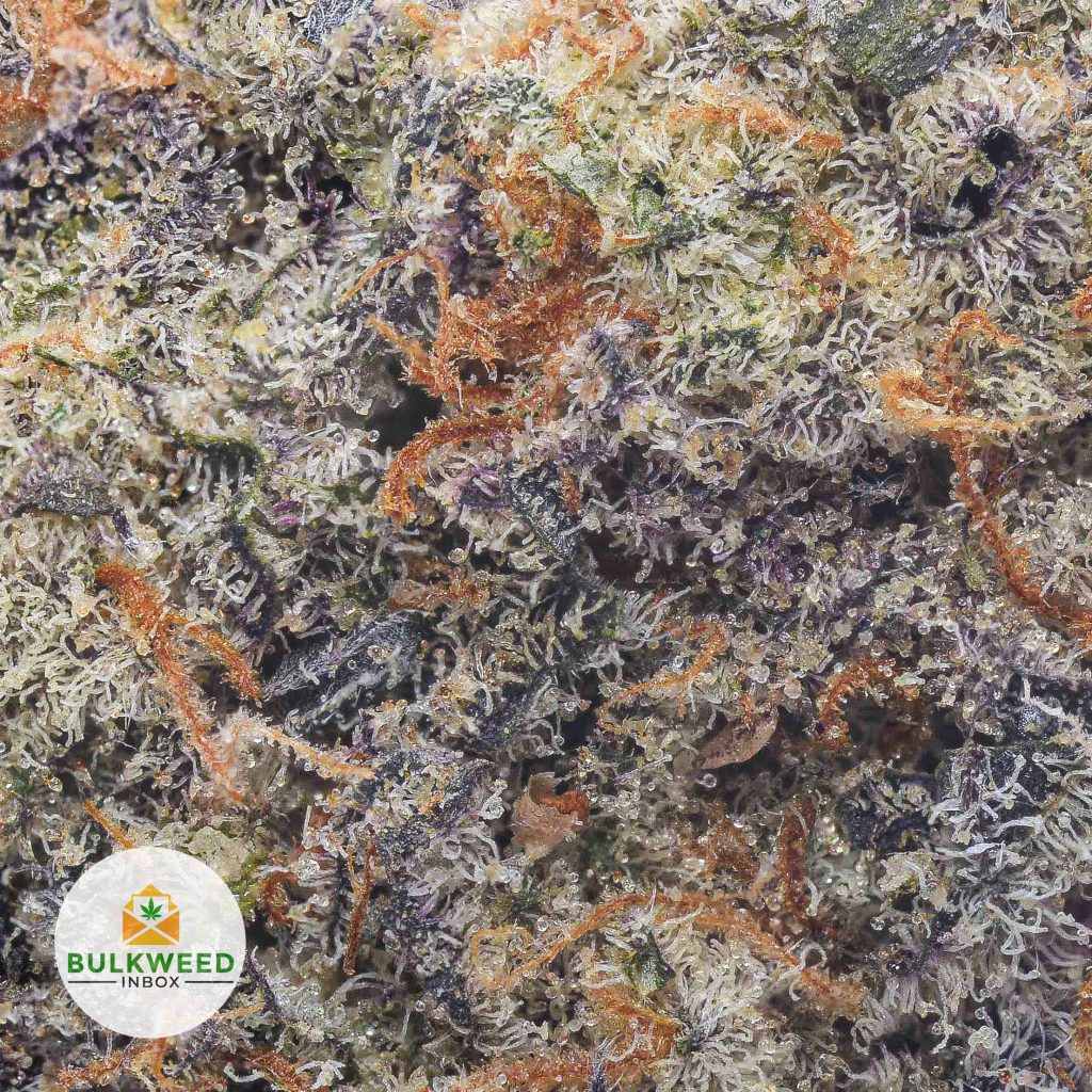 TROPICANA-COOKIES-SPACE-CRAFT-cheap-weed-2