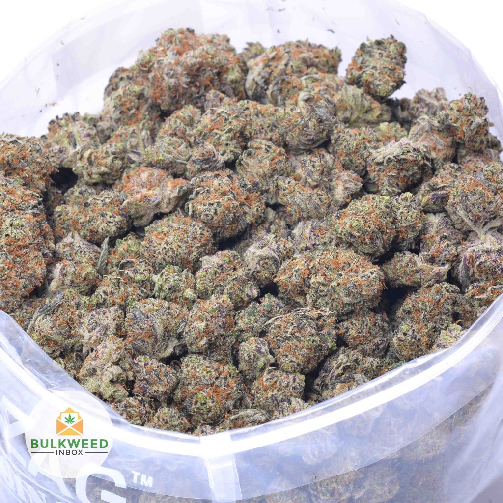 BLACK-CHERRY-online-dispensary-canada