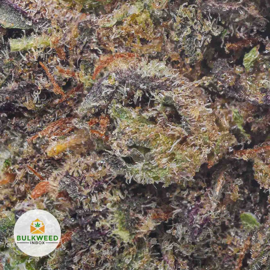 PURPLE-BERRY-cheap-weed-2