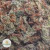 RED-CONGOLESE-cheap-weed-2