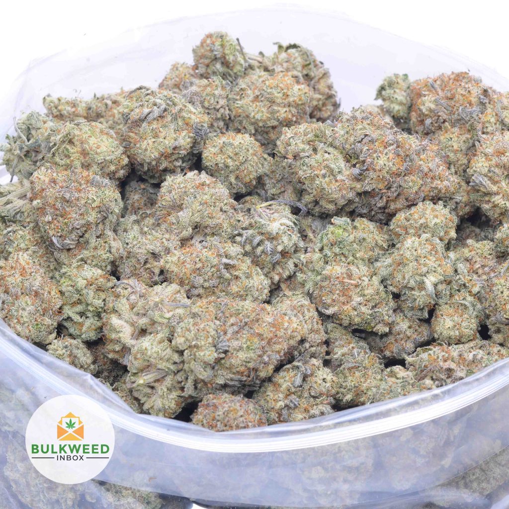 WHITE-GELATO-online-dispensary-canada