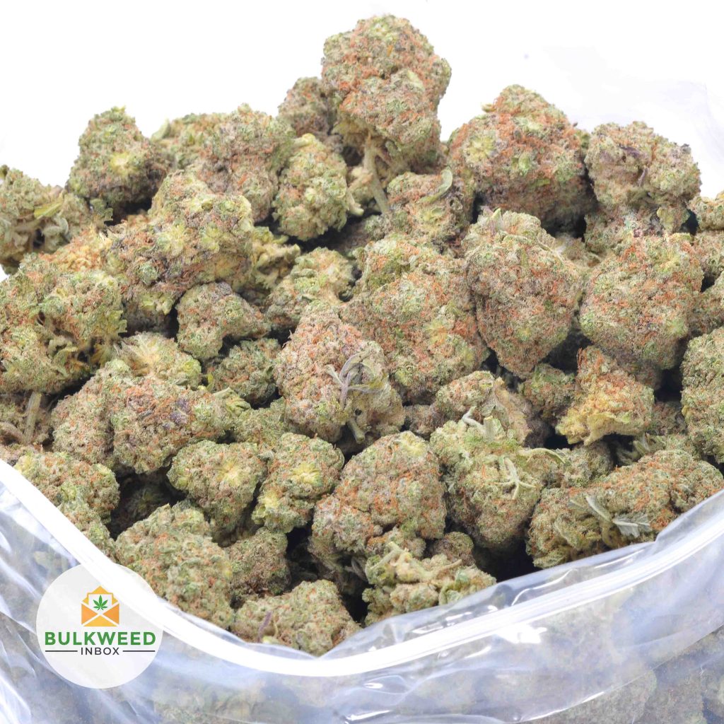 BLUEBERRY-PANCAKES-online-dispensary-canada-1