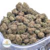 BLUEBERRY-PANCAKES-online-dispensary-canada