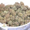 GAS-CHAMBER-online-dispensary-canada