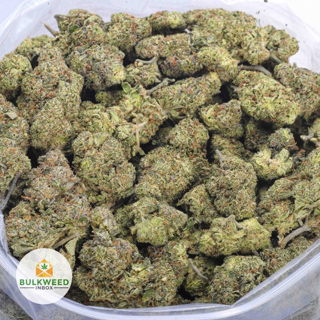 HAWAIIAN-SNOW-AAAA-2