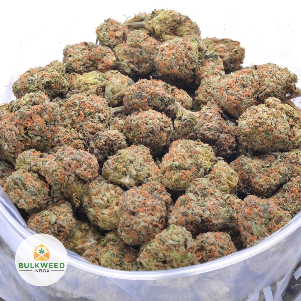 ISLAND-PINK-KUSH-online-dispensary-canada-1