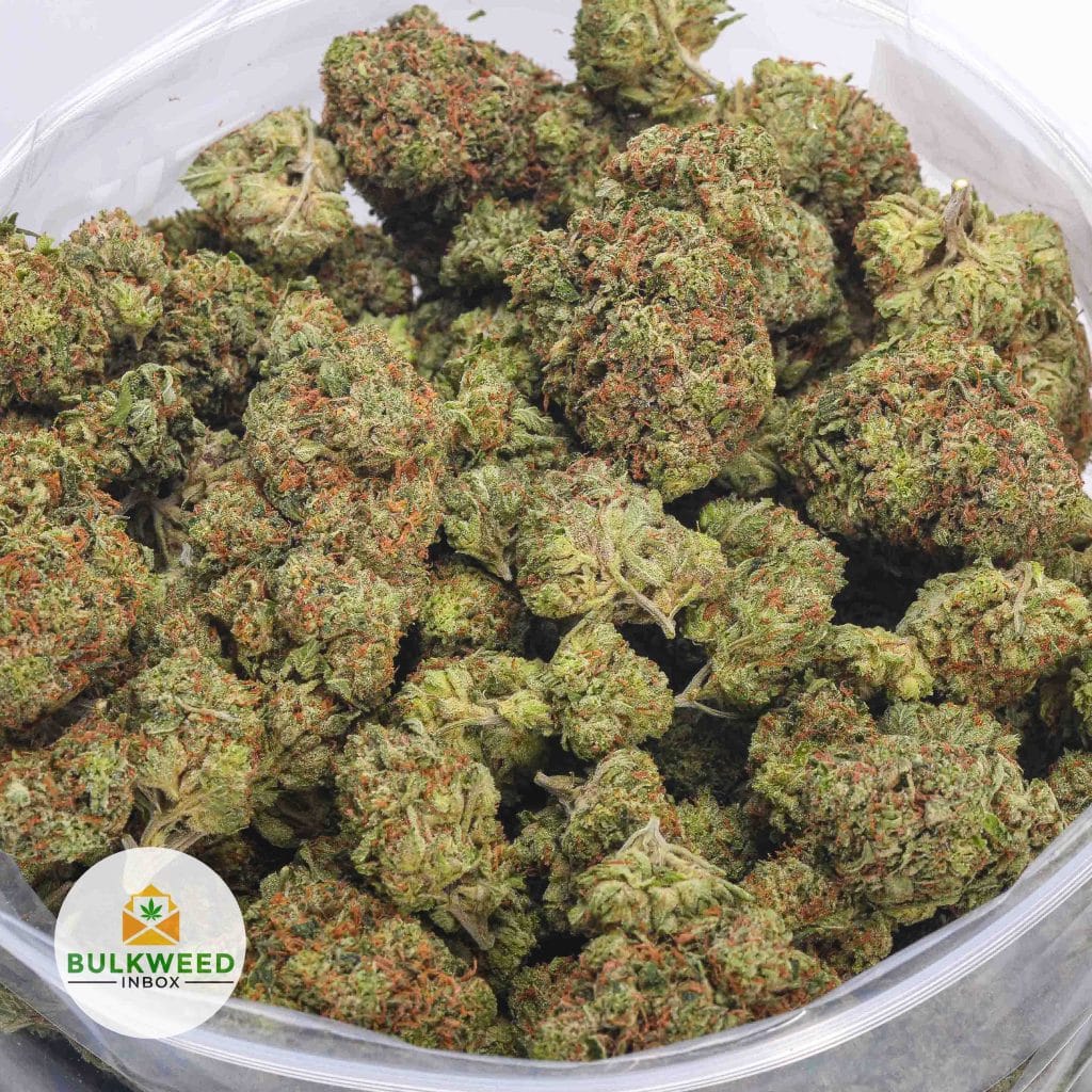 PINK-GAS-MASK-AAAA-2