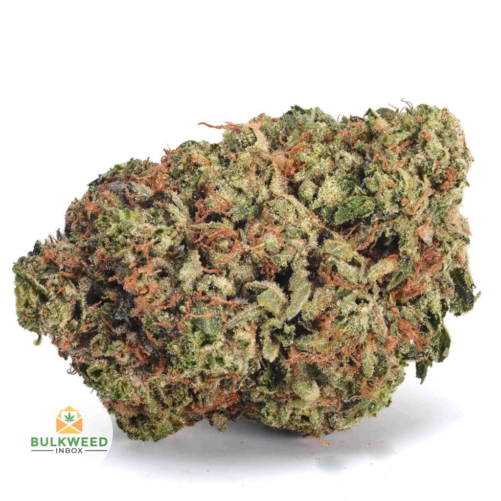 PINK-GAS-MASK-AAAA1-2