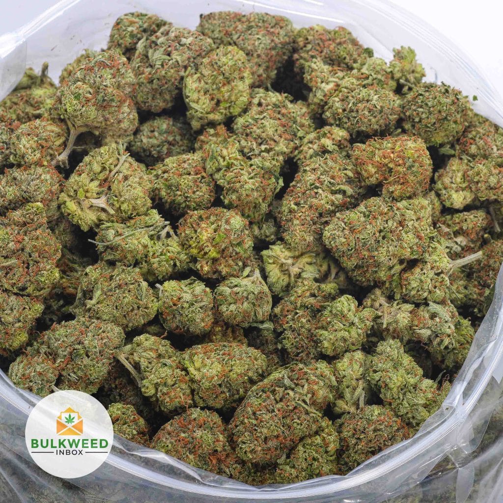 PURE-CAKE-SKUNK-AAAA-2