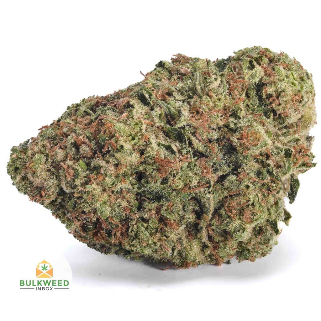 PURE-CAKE-SKUNK-AAAA1-2