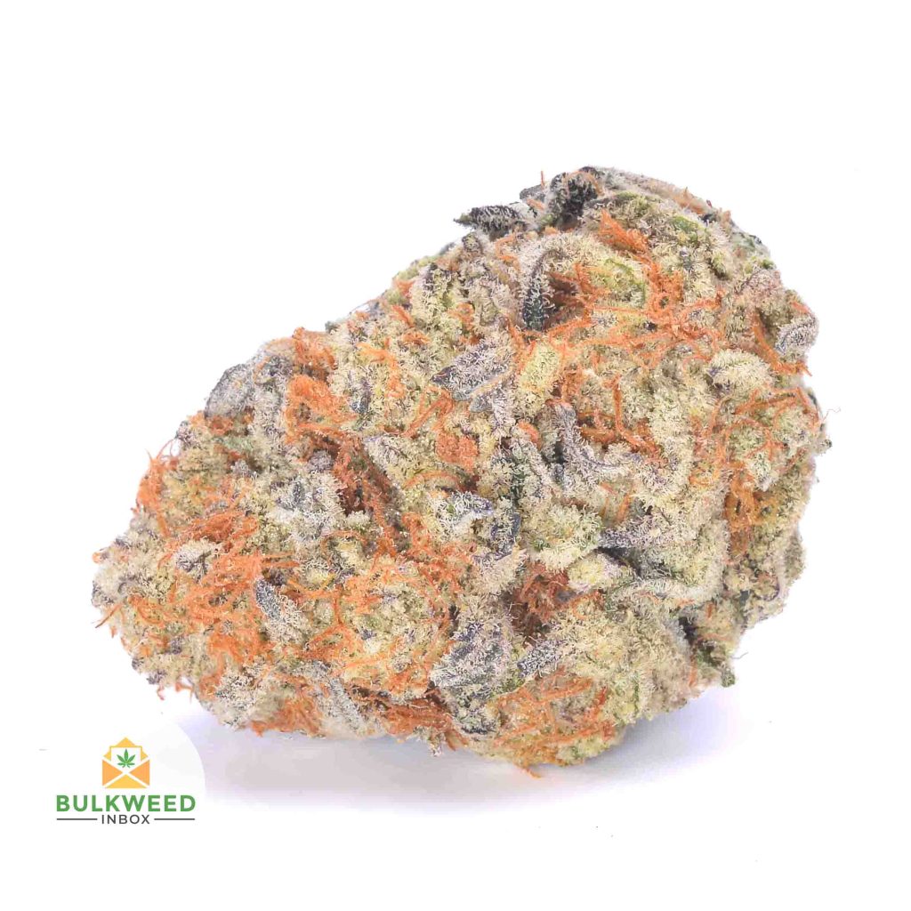 TROPIC-TRUFFLE-cheap-weed-canada-2