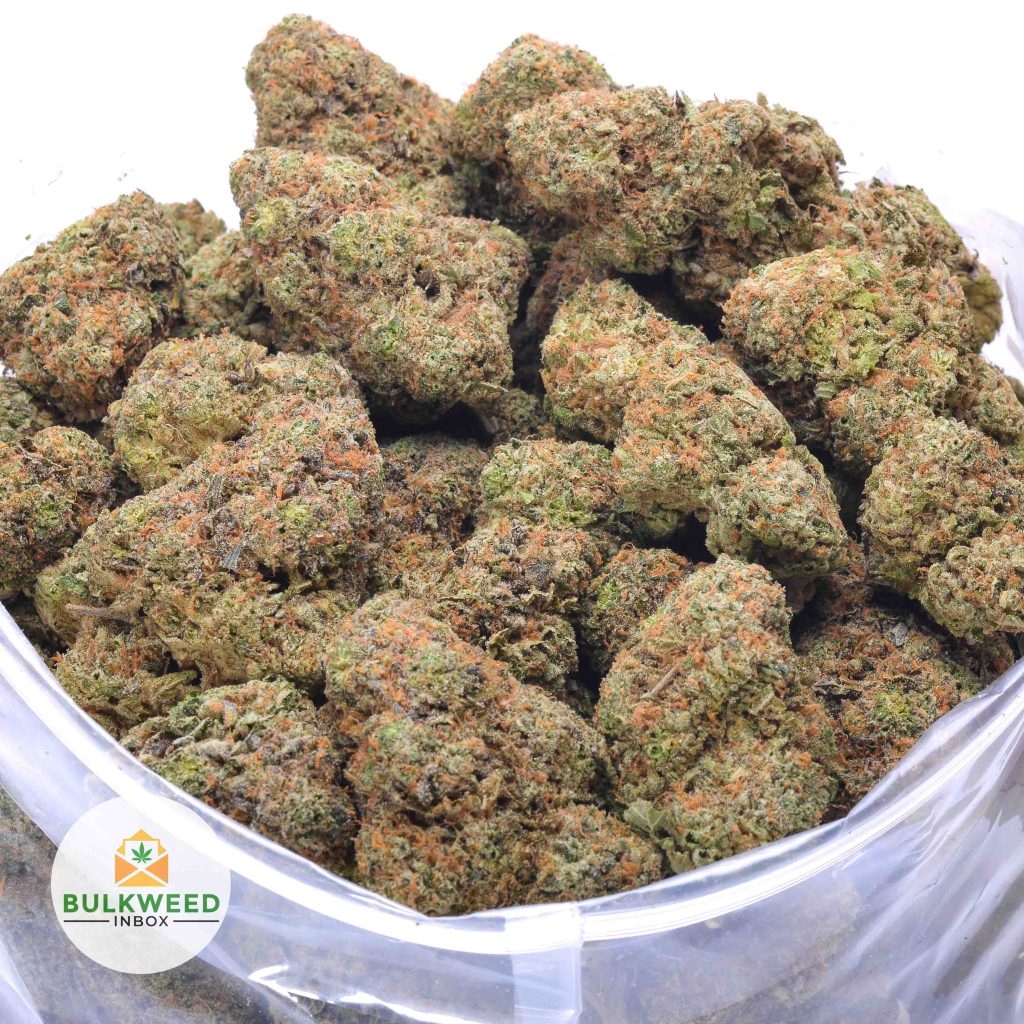 94-OCTANE-ISLAND-BOYS-CRAFT-online-dispensary-canada