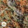 ANIMAL-COOKIES-cheap-weed-2