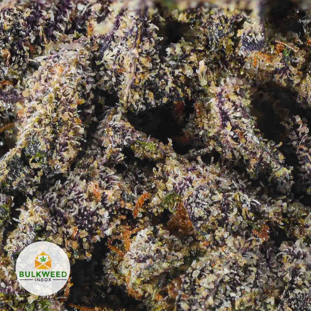 BLACKBERRY-FIRE-cheap-weed-2
