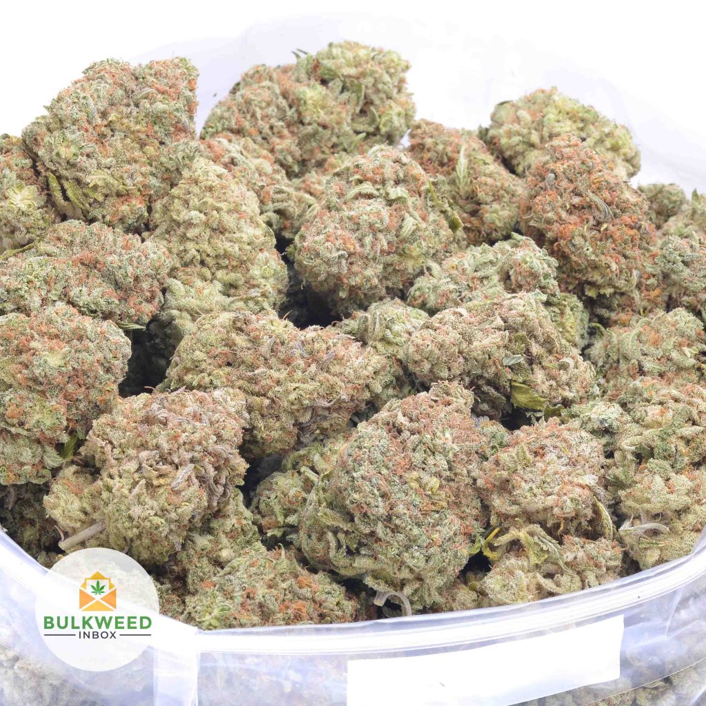 CANDY-RAIN-online-dispensary-canada