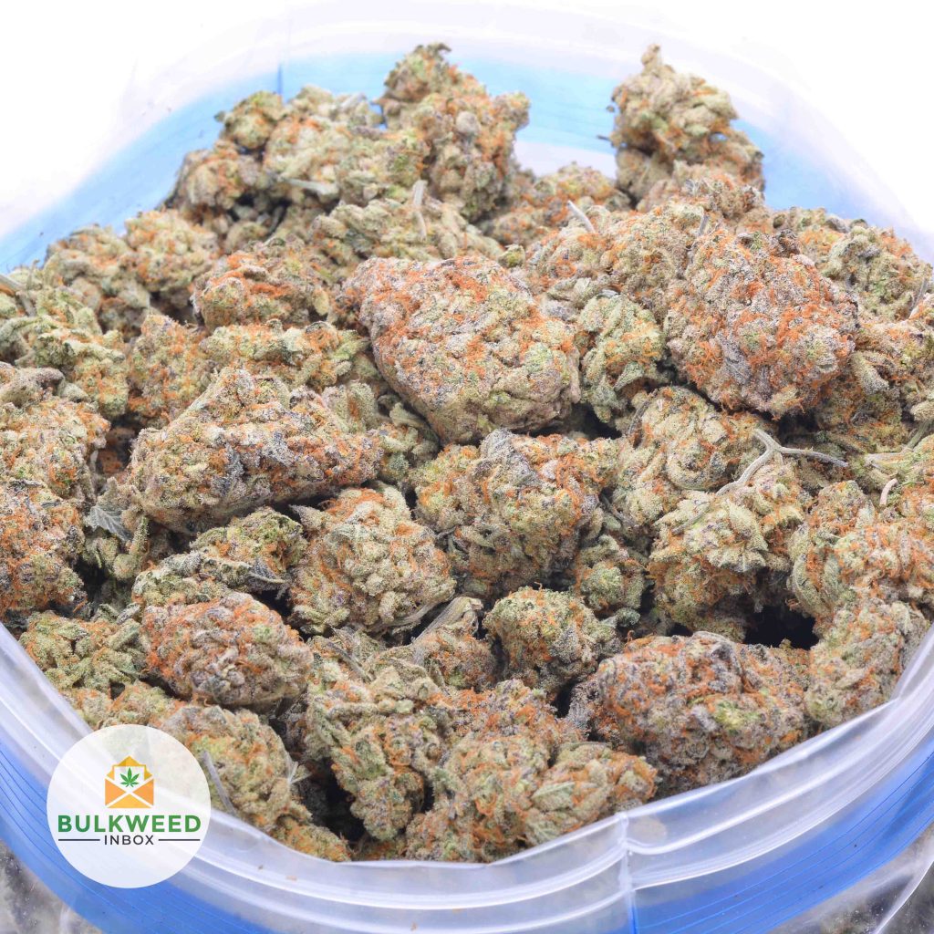 KING-BUBBA-online-dispensary-canada-1