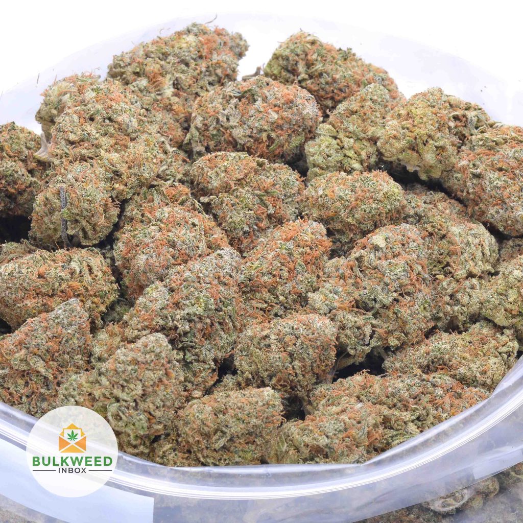 LEMON-SORBET-online-dispensary-canada