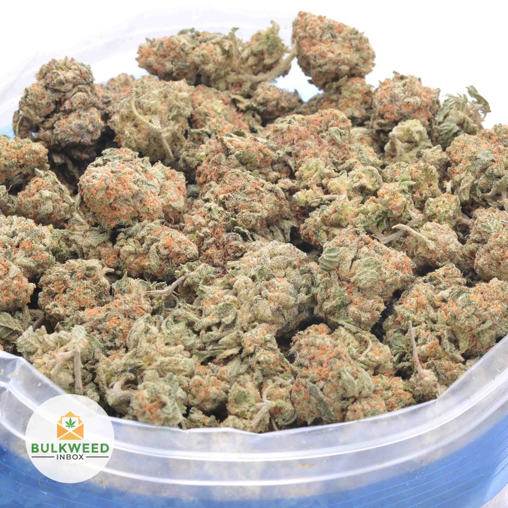 ANIMAL-CRACKERS-online-dispensary-canada