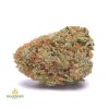 BACIO-GELATO-cheap-weed-canada-2