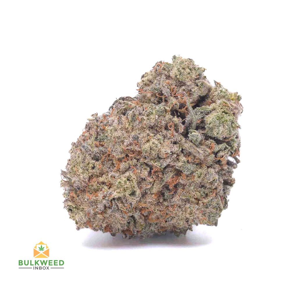 BERRY-WHITE-cheap-weed-canada-2-1