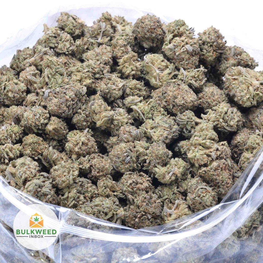 BERRY-WHITE-online-dispensary-canada-2