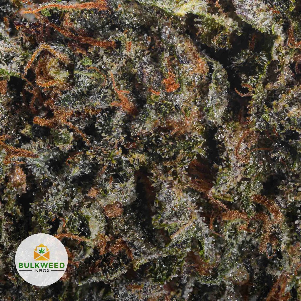 BLACKBERRY-FIRE-cheap-weed-2