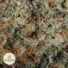 BRUCE-BANNER-NELSON-CRAFT-GROWERS-cheap-weed-2