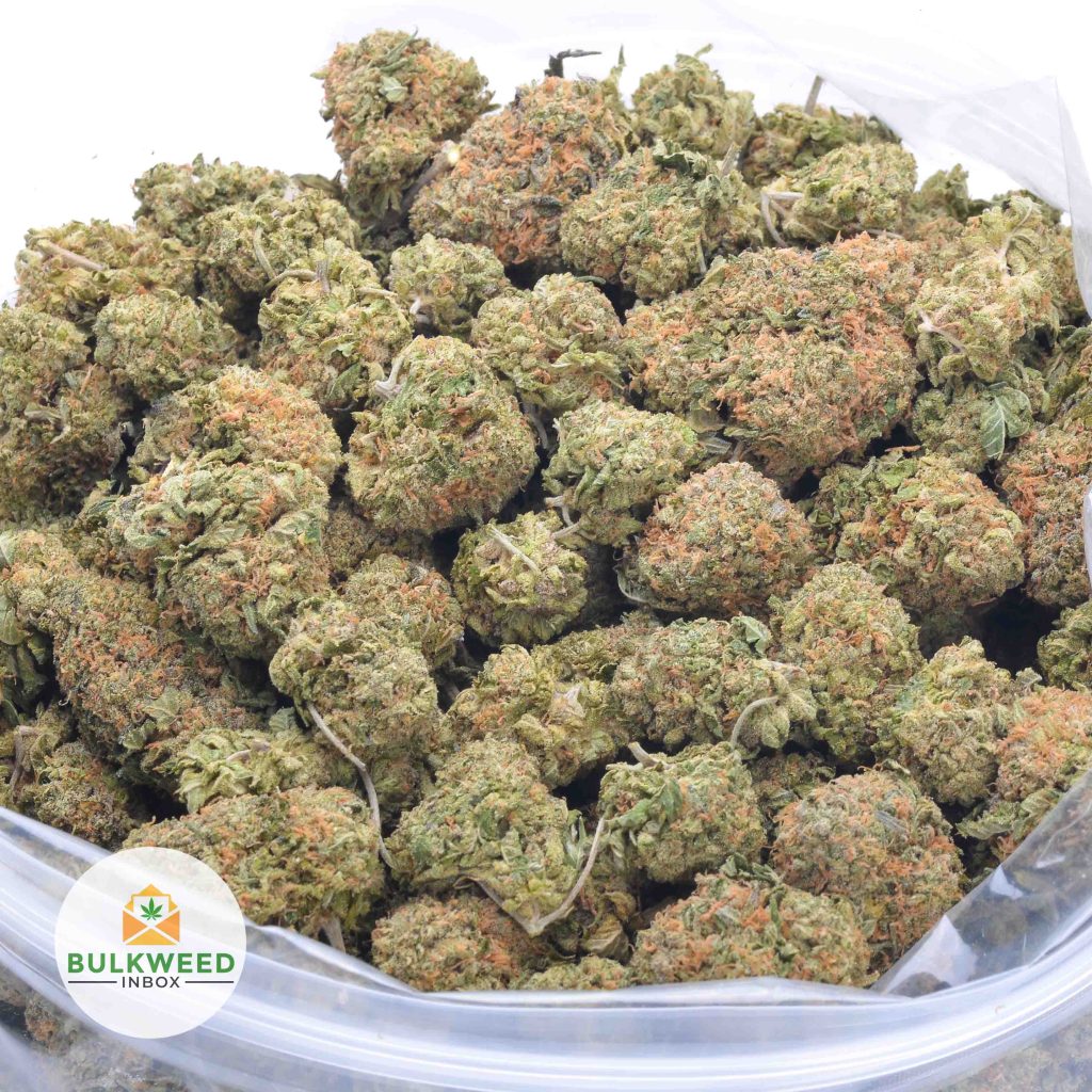 CHERRY-PIE-online-dispensary-canada