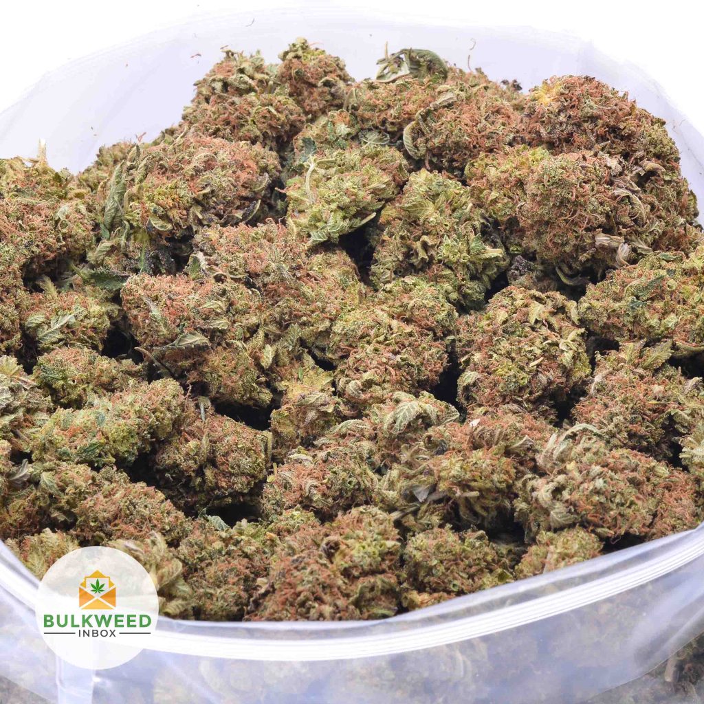 CHOCOLOPE-online-dispensary-canada