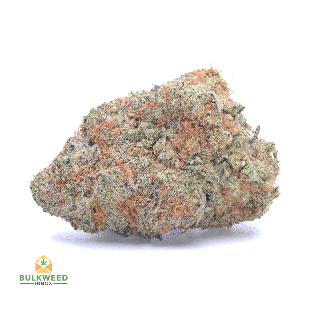 DRAGON-FRUIT-GELATO-cheap-weed-canada-2