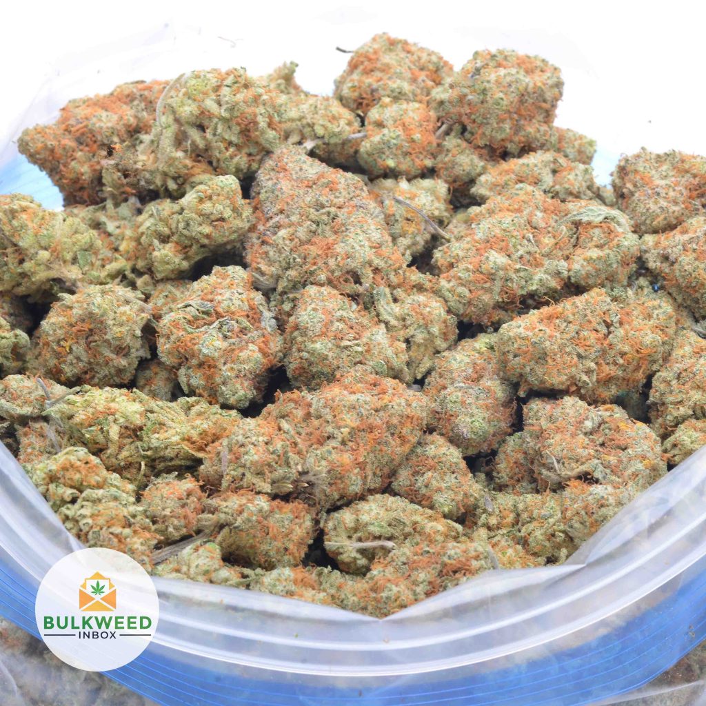 DRAGON-FRUIT-GELATO-online-dispensary-canada