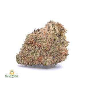 GATOR-BREATH-cheap-weed-canada-2