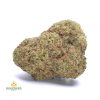 GIRLS-SCOUT-COOKIES-cheap-weed-canada-2