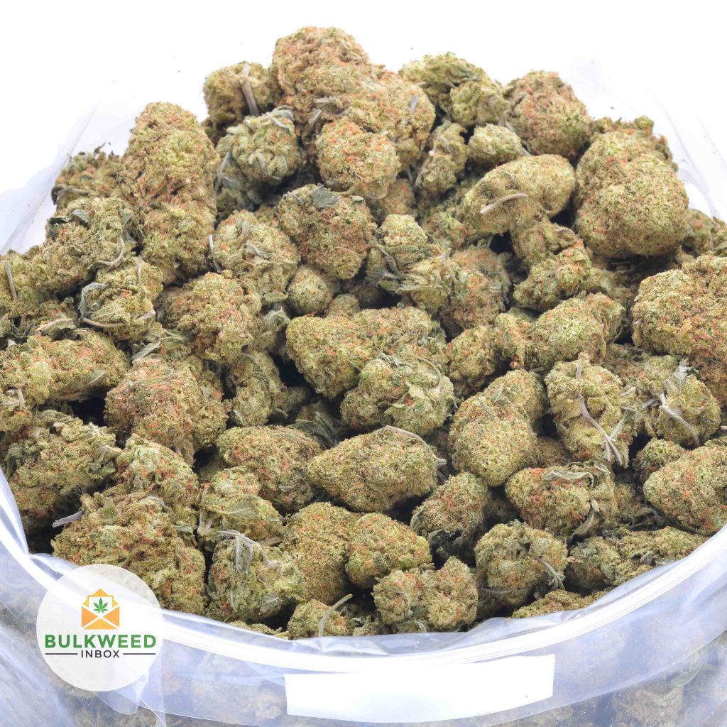 GIRLS-SCOUT-COOKIES-online-dispensary-canada