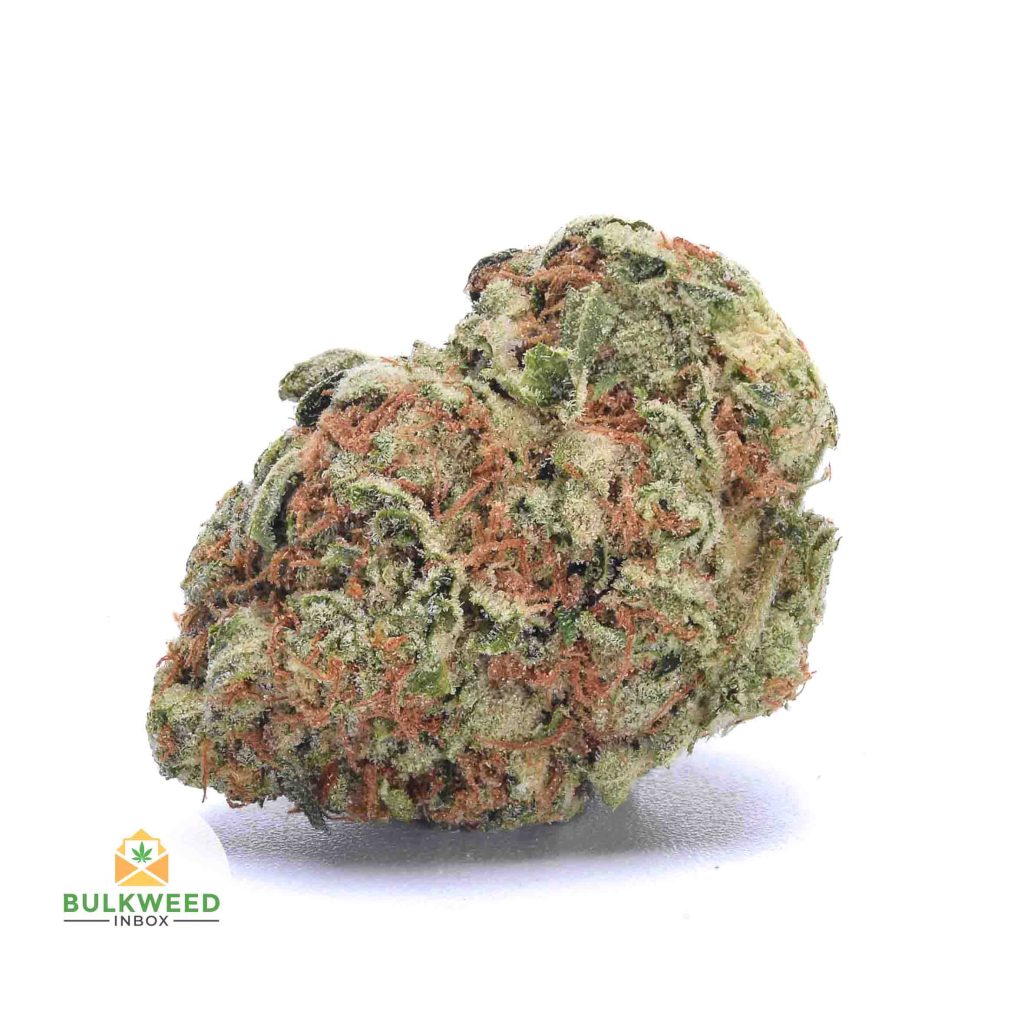 GORILLA-BERRY-cheap-weed-canada-2