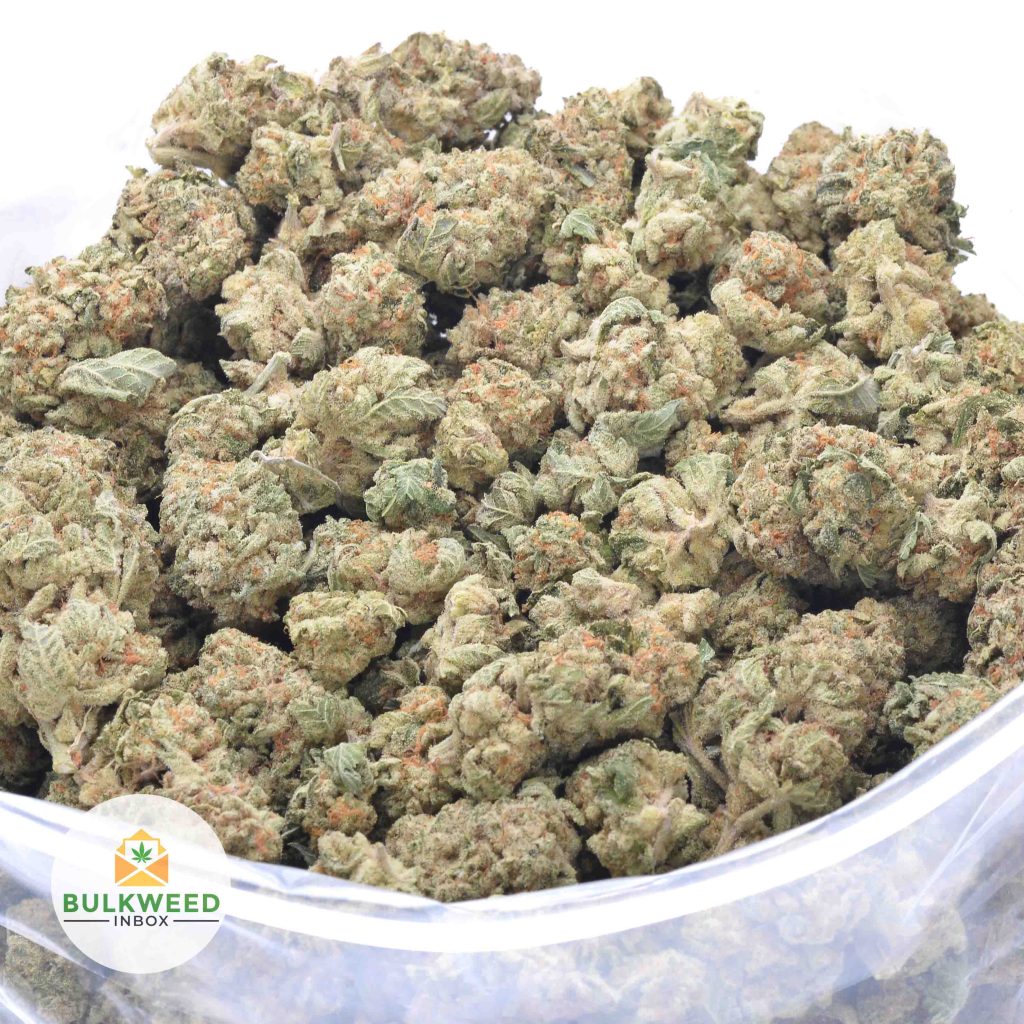 GORILLA-GLUE-7-online-dispensary-canada