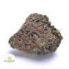 GRAPE-APE-cheap-weed-canada-2