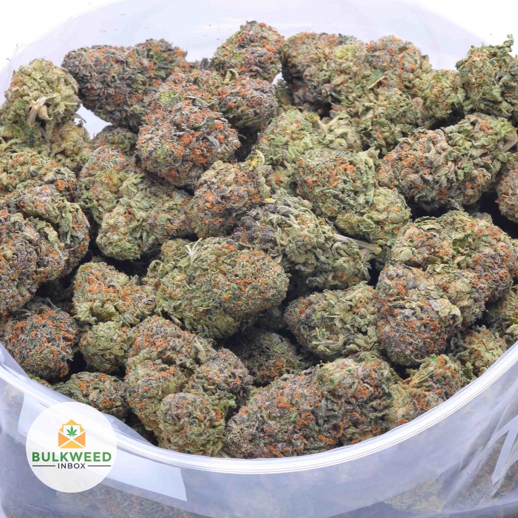 GRAPE-APE-online-dispensary-canada