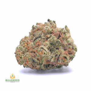 JACK-HERER-cheap-weed-canada-2