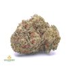 KING-TUT-cheap-weed-canada-2