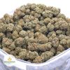 KING-TUT-online-dispensary-canada