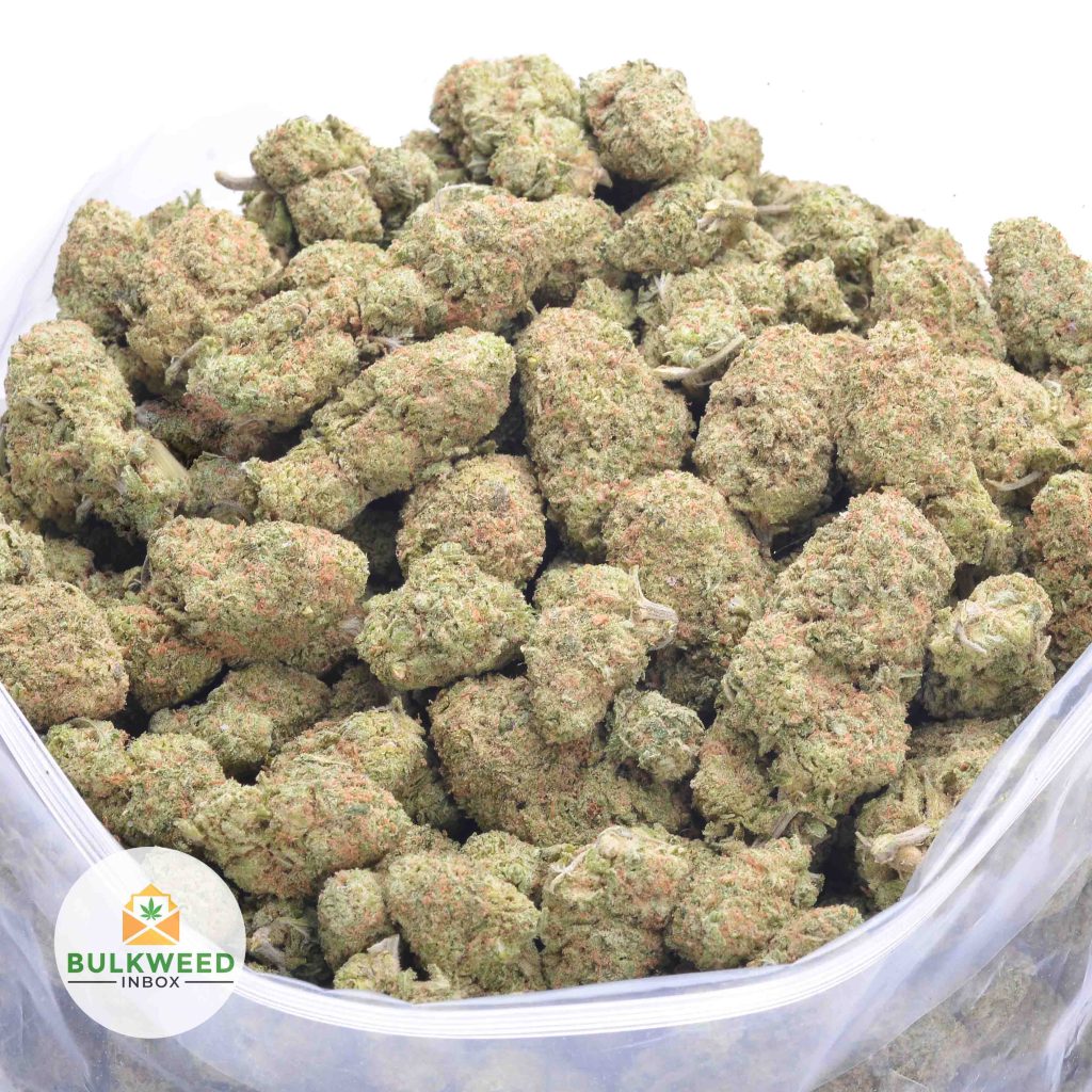 KNOCKOUT-OG-online-dispensary-canada