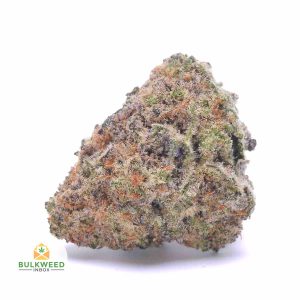 MOBY-DICK-cheap-weed-canada-2-2