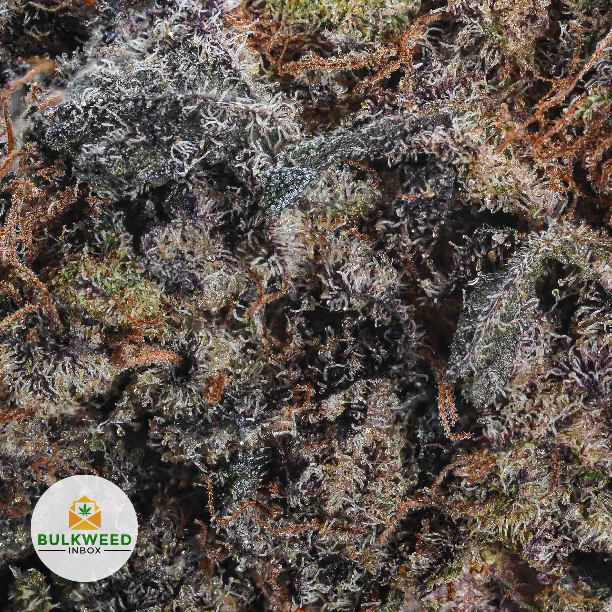 Purple Octane AAAA Buy Weed Online Bulkweedinbox
