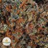 RED-CONGOLESE-cheap-weed-2